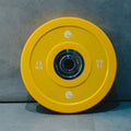 BEFIT COLOURED BUMPER PLATE-15KG (Single)
